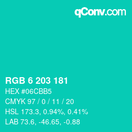 Color code: RGB 6 203 181 | qconv.com