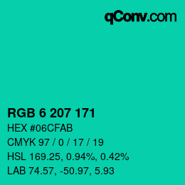 Color code: RGB 6 207 171 | qconv.com
