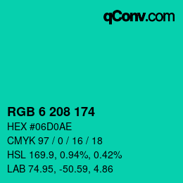 Color code: RGB 6 208 174 | qconv.com