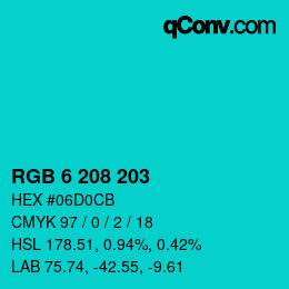 Color code: RGB 6 208 203 | qconv.com