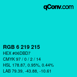 Color code: RGB 6 219 215 | qconv.com