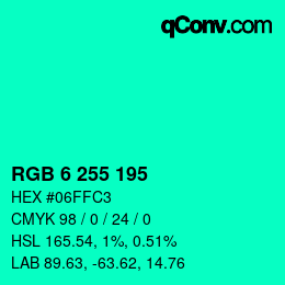 Color code: RGB 6 255 195 | qconv.com