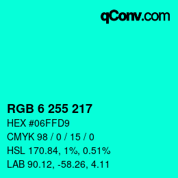 Color code: RGB 6 255 217 | qconv.com