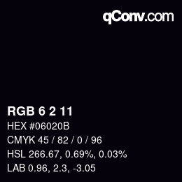 Color code: RGB 6 2 11 | qconv.com