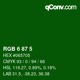 颜色代码: RGB 6 87 5 | qconv.com