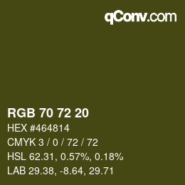 Color code: RGB 70 72 20 | qconv.com