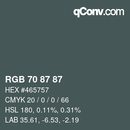 カラーコード: RGB 70 87 87 | qconv.com