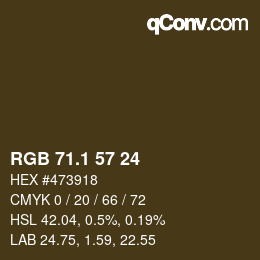 カラーコード: RGB 71.1 57 24 | qconv.com