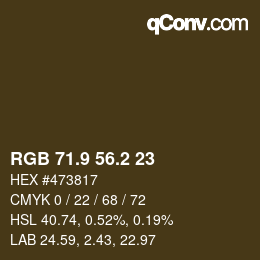 カラーコード: RGB 71.9 56.2 23 | qconv.com