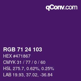 Color code: RGB 71 24 103 | qconv.com