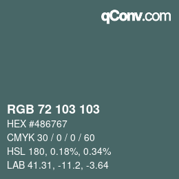 カラーコード: RGB 72 103 103 | qconv.com