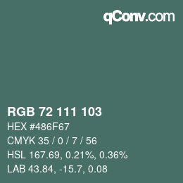 Color code: RGB 72 111 103 | qconv.com