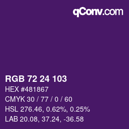 Color code: RGB 72 24 103 | qconv.com