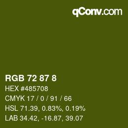 Color code: RGB 72 87 8 | qconv.com