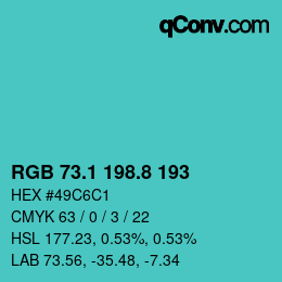 Color code: RGB 73.1 198.8 193 | qconv.com