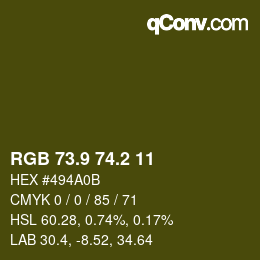 Color code: RGB 73.9 74.2 11 | qconv.com
