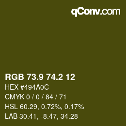 Color code: RGB 73.9 74.2 12 | qconv.com