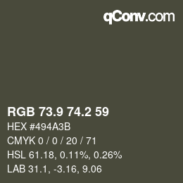Color code: RGB 73.9 74.2 59 | qconv.com