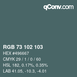 Color code: RGB 73 102 103 | qconv.com