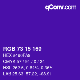 Color code: RGB 73 15 169 | qconv.com