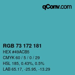 Color code: RGB 73 172 181 | qconv.com