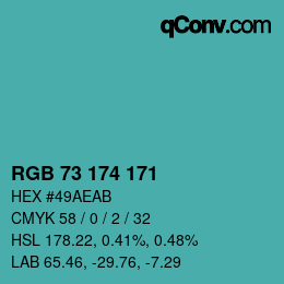Color code: RGB 73 174 171 | qconv.com