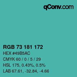 Color code: RGB 73 181 172 | qconv.com