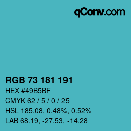 Color code: RGB 73 181 191 | qconv.com
