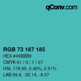 Color code: RGB 73 187 185 | qconv.com