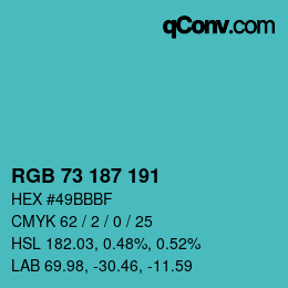 Color code: RGB 73 187 191 | qconv.com