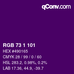 Color code: RGB 73 1 101 | qconv.com
