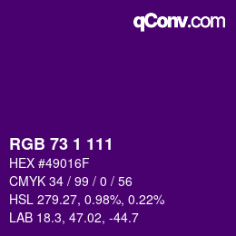 Color code: RGB 73 1 111 | qconv.com