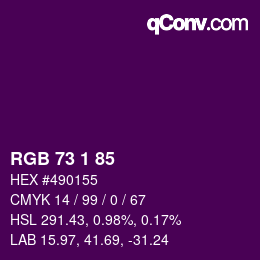 Color code: RGB 73 1 85 | qconv.com