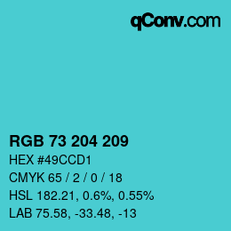 Color code: RGB 73 204 209 | qconv.com