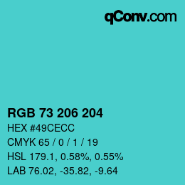 Color code: RGB 73 206 204 | qconv.com