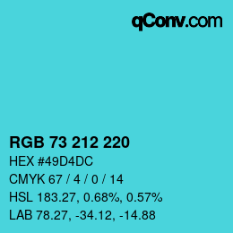 Color code: RGB 73 212 220 | qconv.com