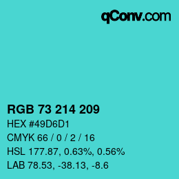 Color code: RGB 73 214 209 | qconv.com