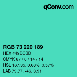 Color code: RGB 73 220 189 | qconv.com