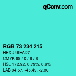 Color code: RGB 73 234 215 | qconv.com