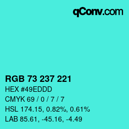 Color code: RGB 73 237 221 | qconv.com