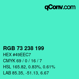 Color code: RGB 73 238 199 | qconv.com