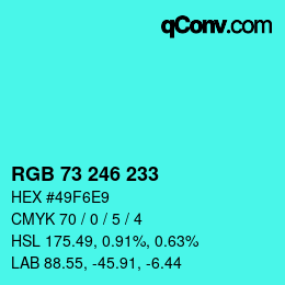 Color code: RGB 73 246 233 | qconv.com