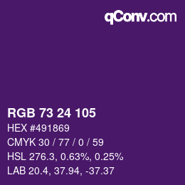 Color code: RGB 73 24 105 | qconv.com