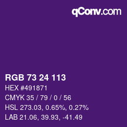 Color code: RGB 73 24 113 | qconv.com