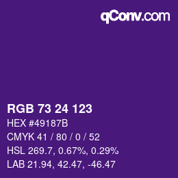Color code: RGB 73 24 123 | qconv.com