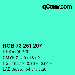 Color code: RGB 73 251 207 | qconv.com