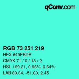 Color code: RGB 73 251 219 | qconv.com