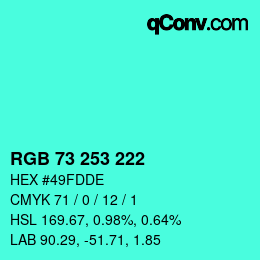 Color code: RGB 73 253 222 | qconv.com