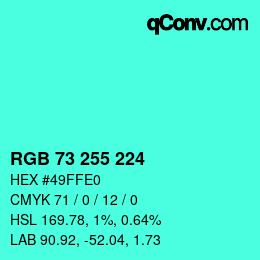 Color code: RGB 73 255 224 | qconv.com