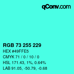 Color code: RGB 73 255 229 | qconv.com